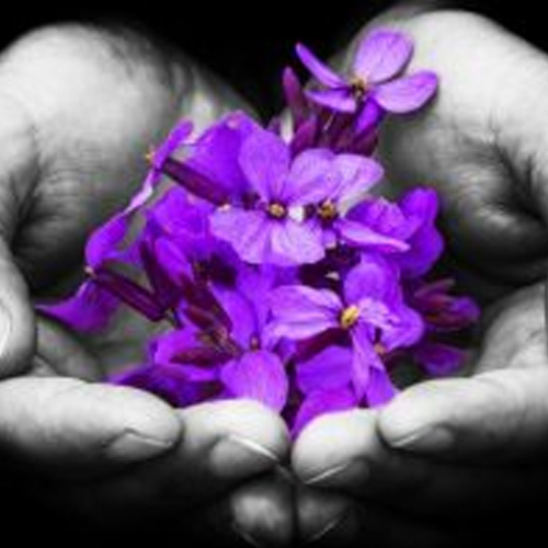 POR QUE ESTAMOS VENDO QUASE QUE UMA EPIDEMIA DE SUICÍDIOS?